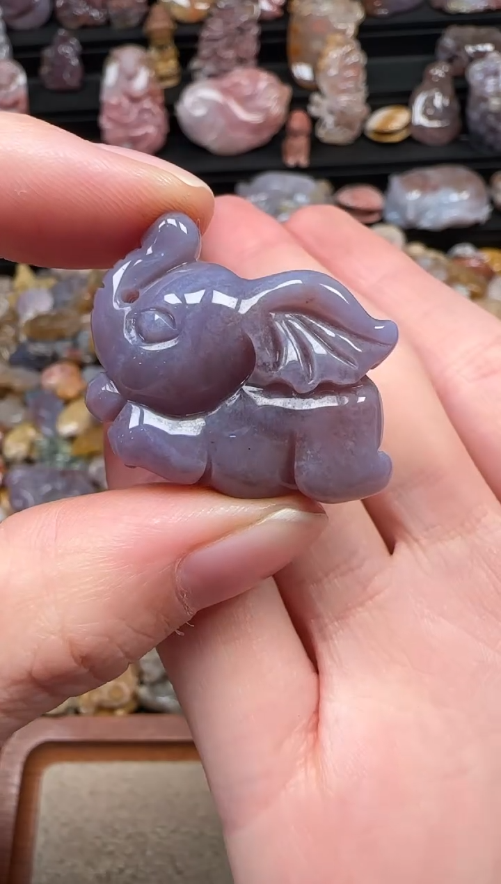颈饰未镶嵌硅化珊瑚（珊瑚玉）372