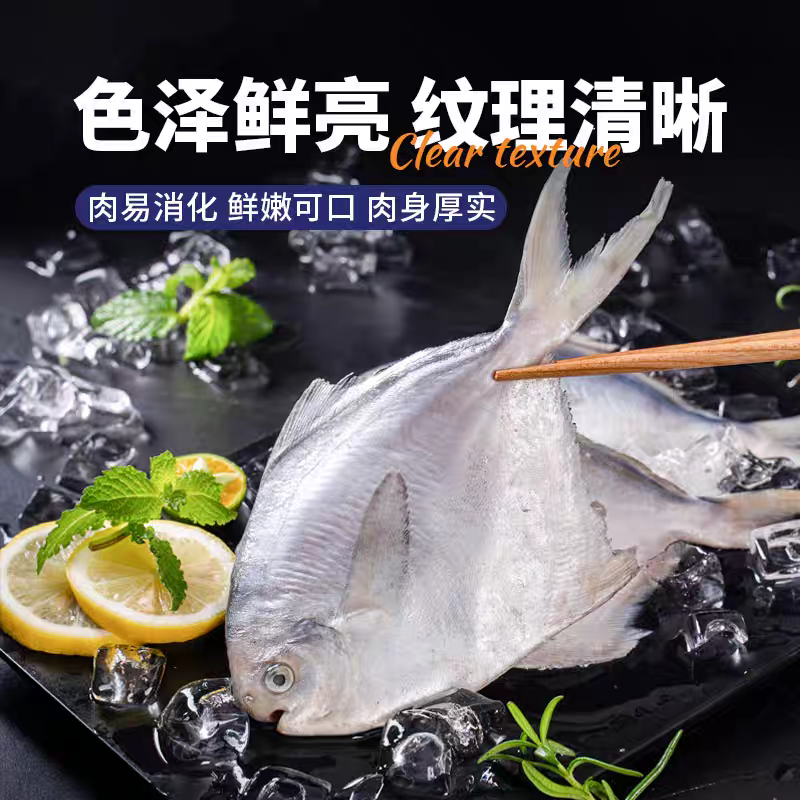 舟山东海-野生白鲳鱼（急冻锁鲜） 舟山直发 