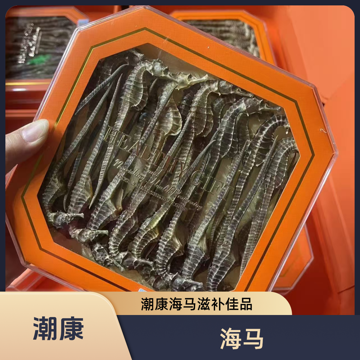 【潮康】2-3克 海马干 溯源码 公母配对 煲汤 50g/盒