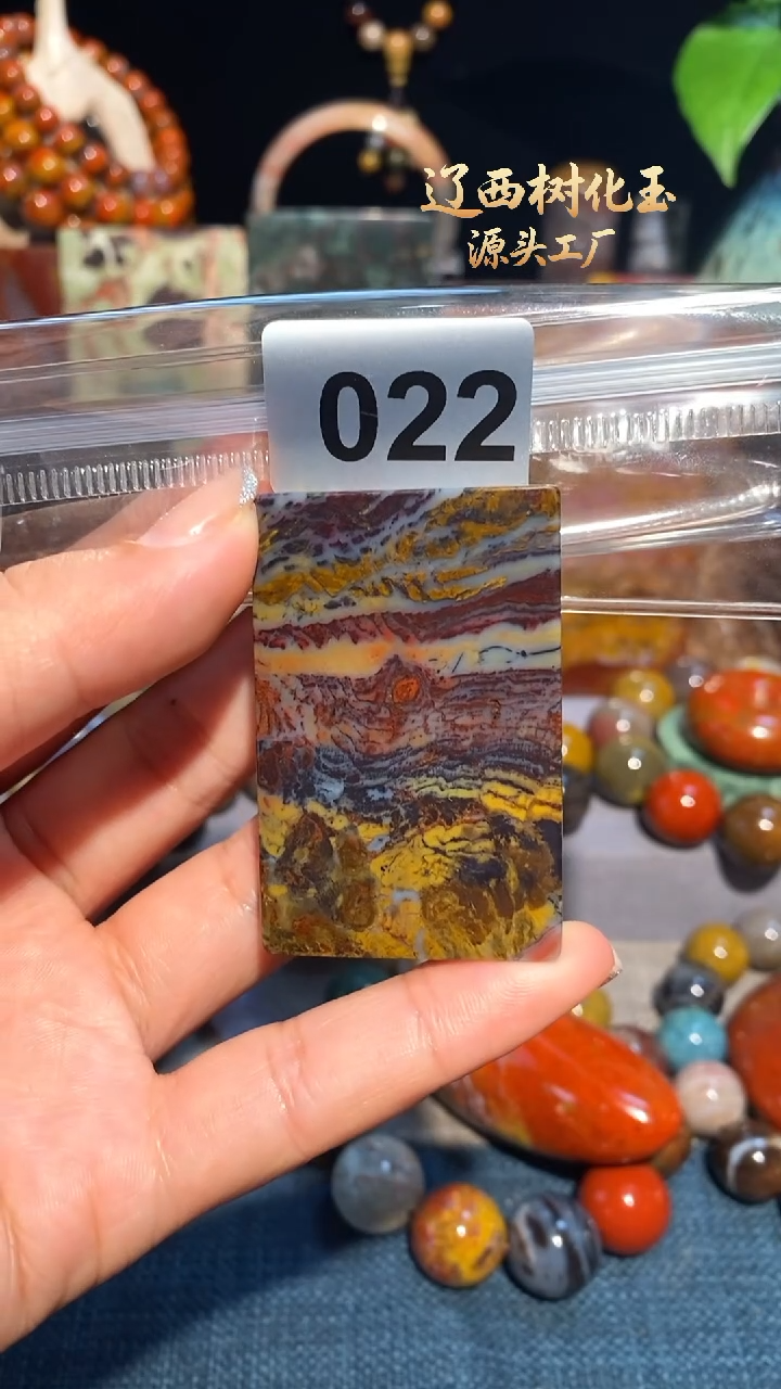 未镶嵌-硅化玉天然北票硅化玉吊坠