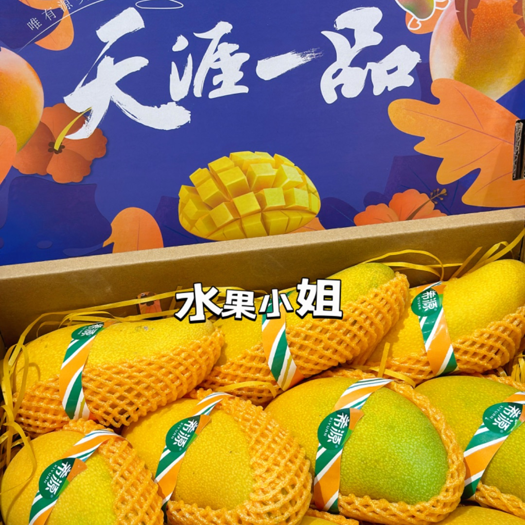 【春节送礼佳品】希源芒果礼盒装 108元/件（毛重6斤）