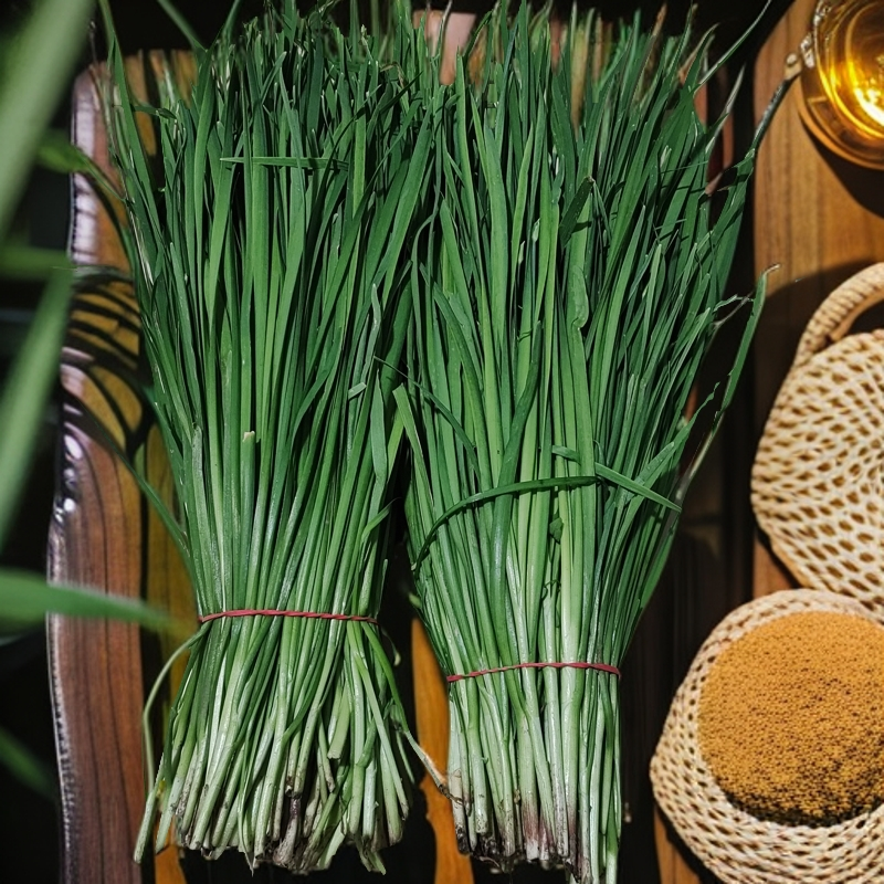韭菜2斤 有机食品 有机产品 戎姐生态农场新鲜现摘现发蔬菜韭菜