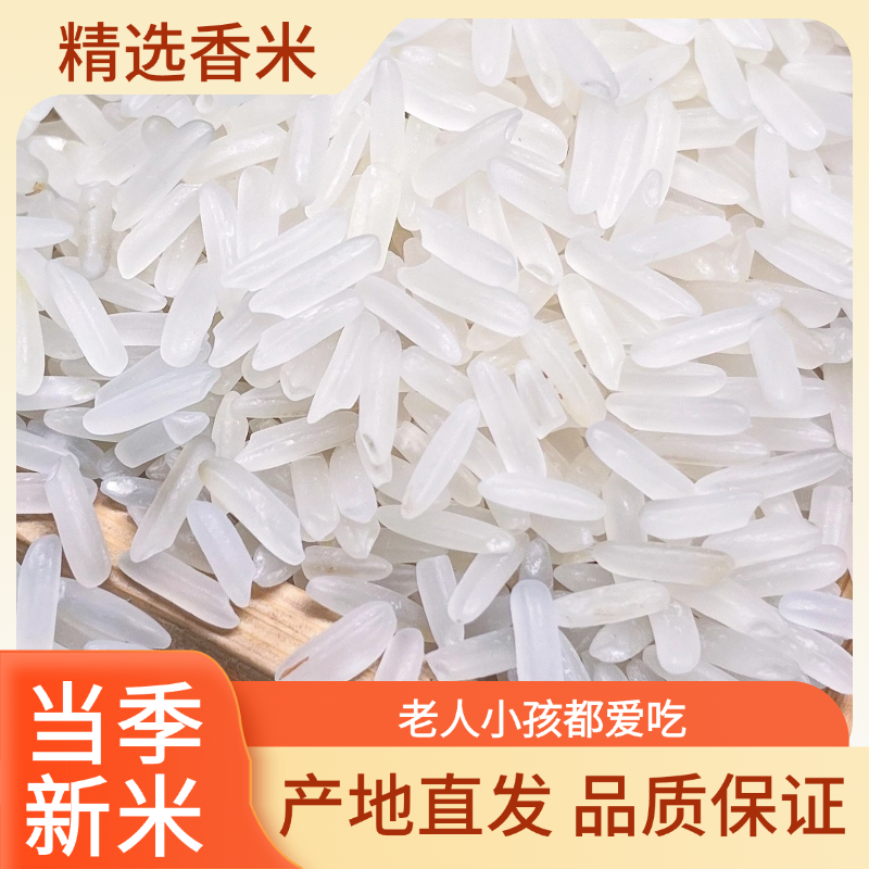 50斤50斤囤 甄选年新米丝苗米香米农家长粒香米猫牙米