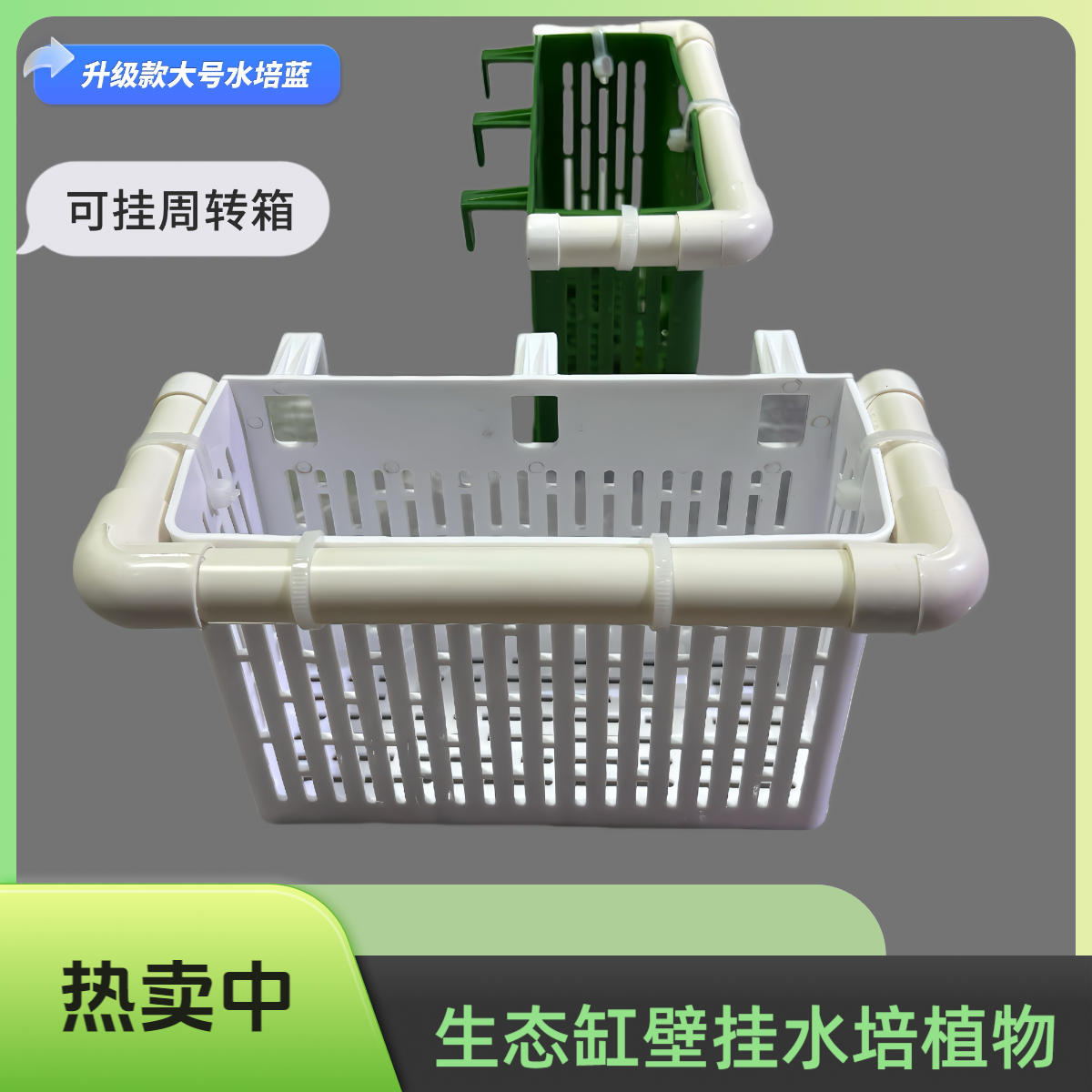 龟缸水培定植壁挂式水草蓝挺水植物种植蓝龟缸壁挂蓝乌龟缸造景