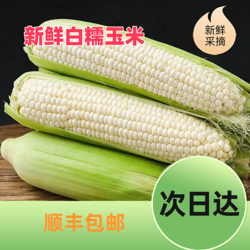 【上海本地小白糯】9斤5斤包邮白糯玉米新鲜采摘颗粒饱满玉米甜玉米上海市