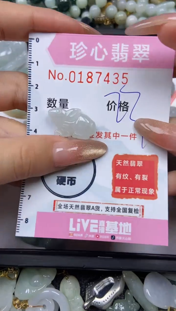 翡翠未镶嵌颈饰闪购链接0187435