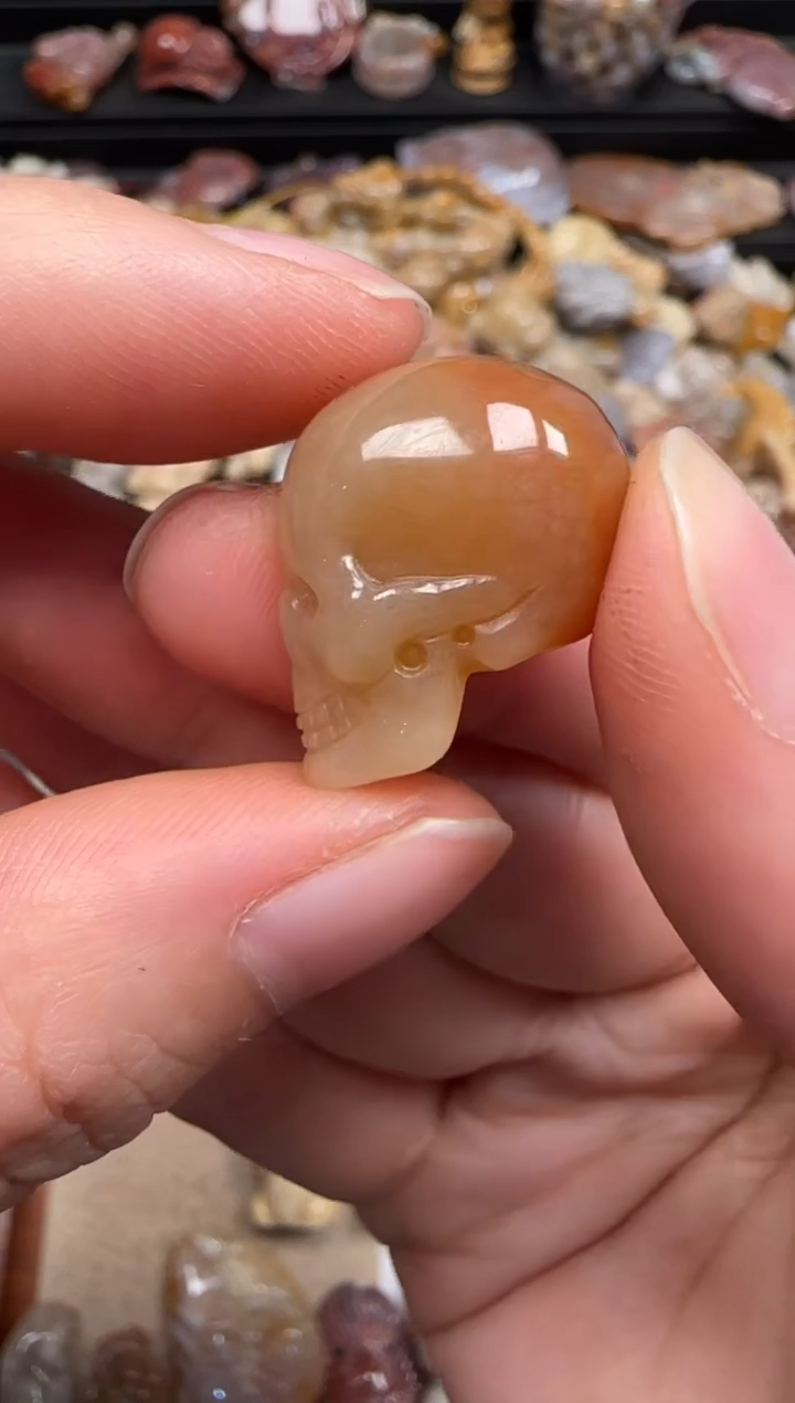 【闪购商品】硅化珊瑚（珊瑚玉）未镶嵌颈饰118