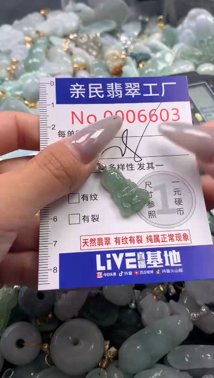 颈饰未镶嵌翡翠6603