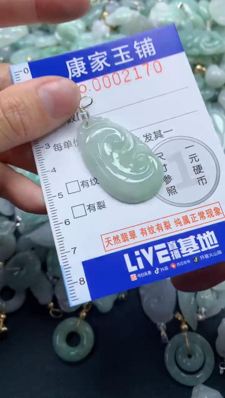 颈饰未镶嵌翡翠2170