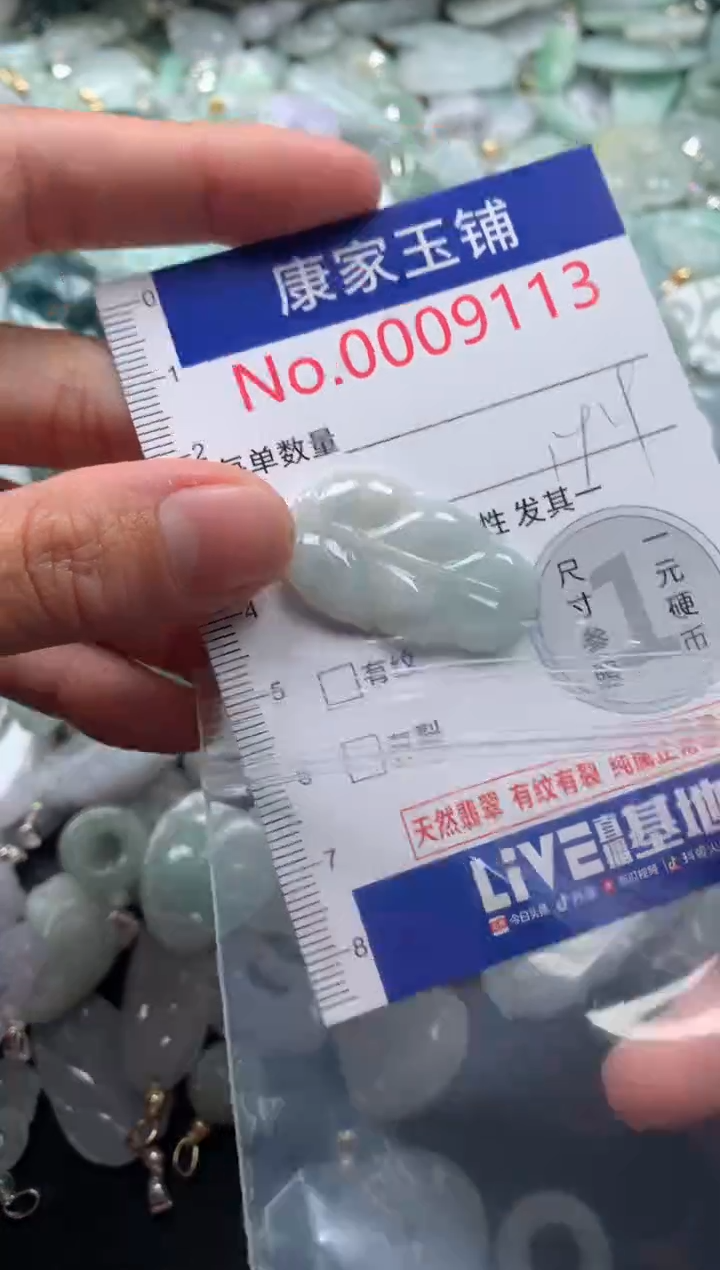 颈饰未镶嵌翡翠9113