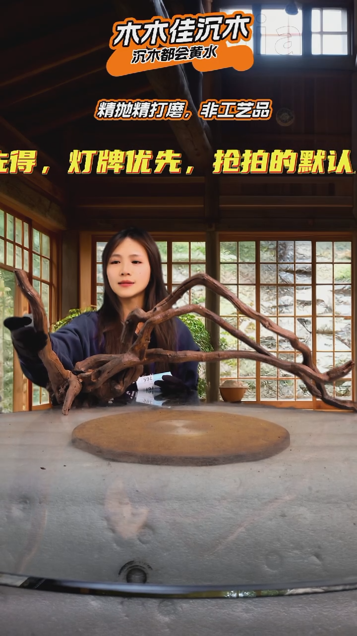 辰**?木木佳沉木鱼缸造景764