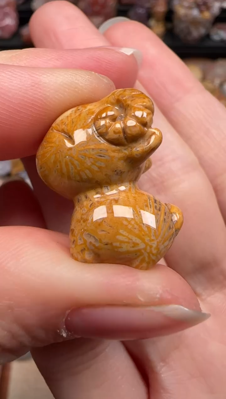 硅化珊瑚（珊瑚玉）未镶嵌颈饰699