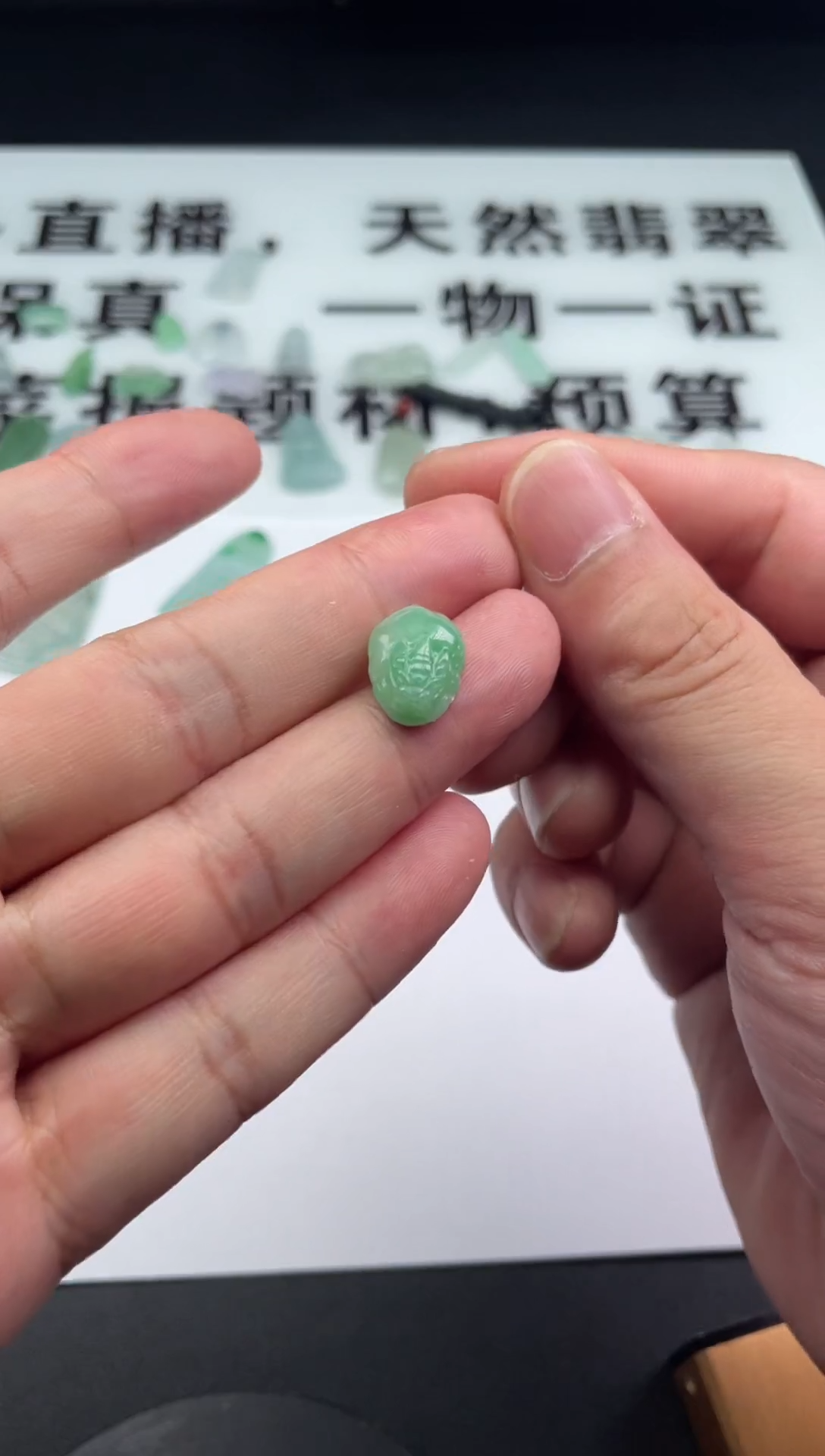 颈饰未镶嵌翡翠翡翠挂件