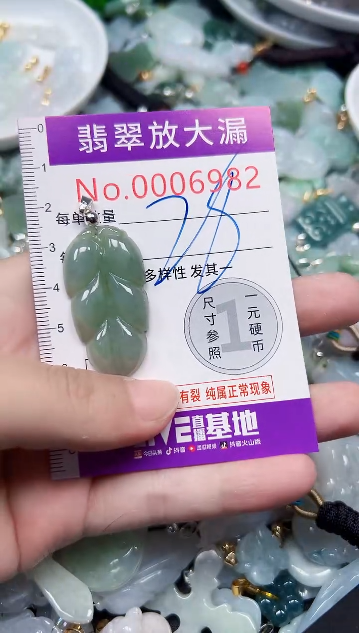 颈饰未镶嵌翡翠6982