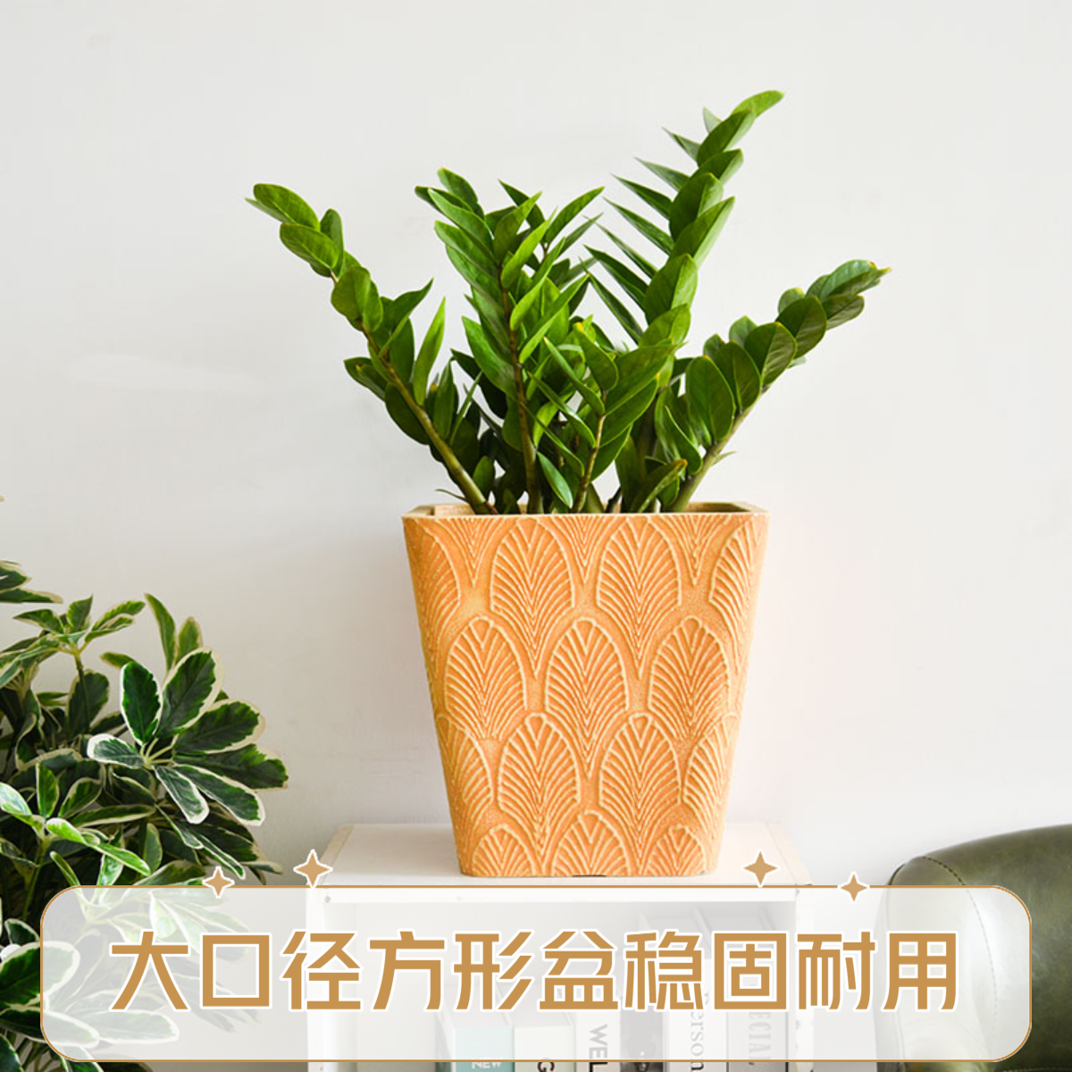 金钱树盆栽室内绿植客厅办公室大口径方形北欧风树脂花盆厂家直销