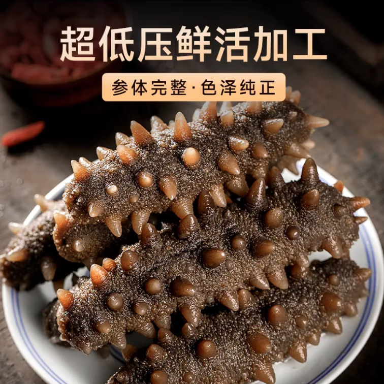 【顺丰冷链】船夫港6头-8头2025头茬秋参鲜食海参口感Q弹深海底播