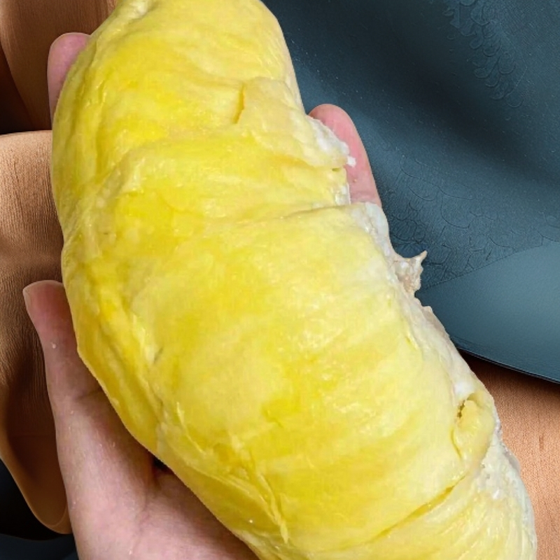 新鲜金枕榴莲果肉一果一重核小金枕越南