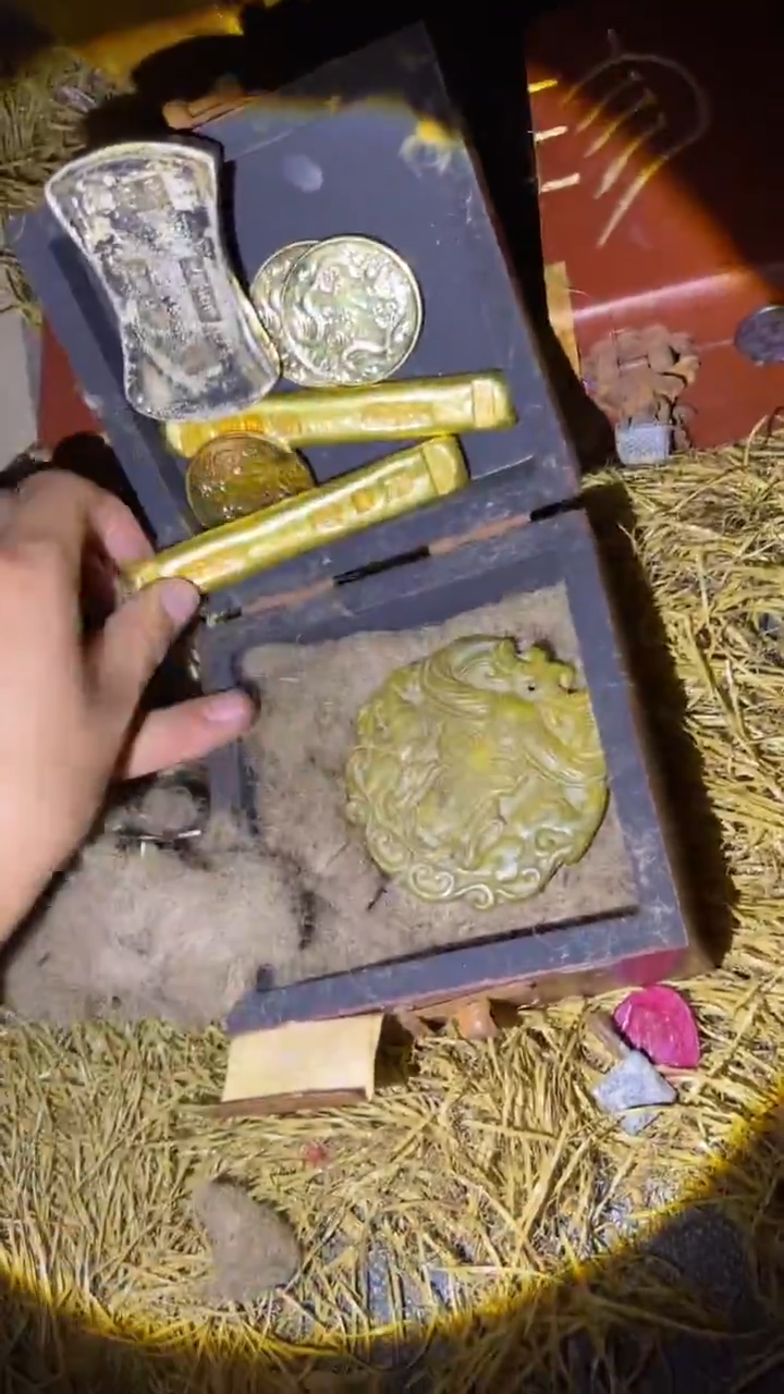 木木木木木木木木