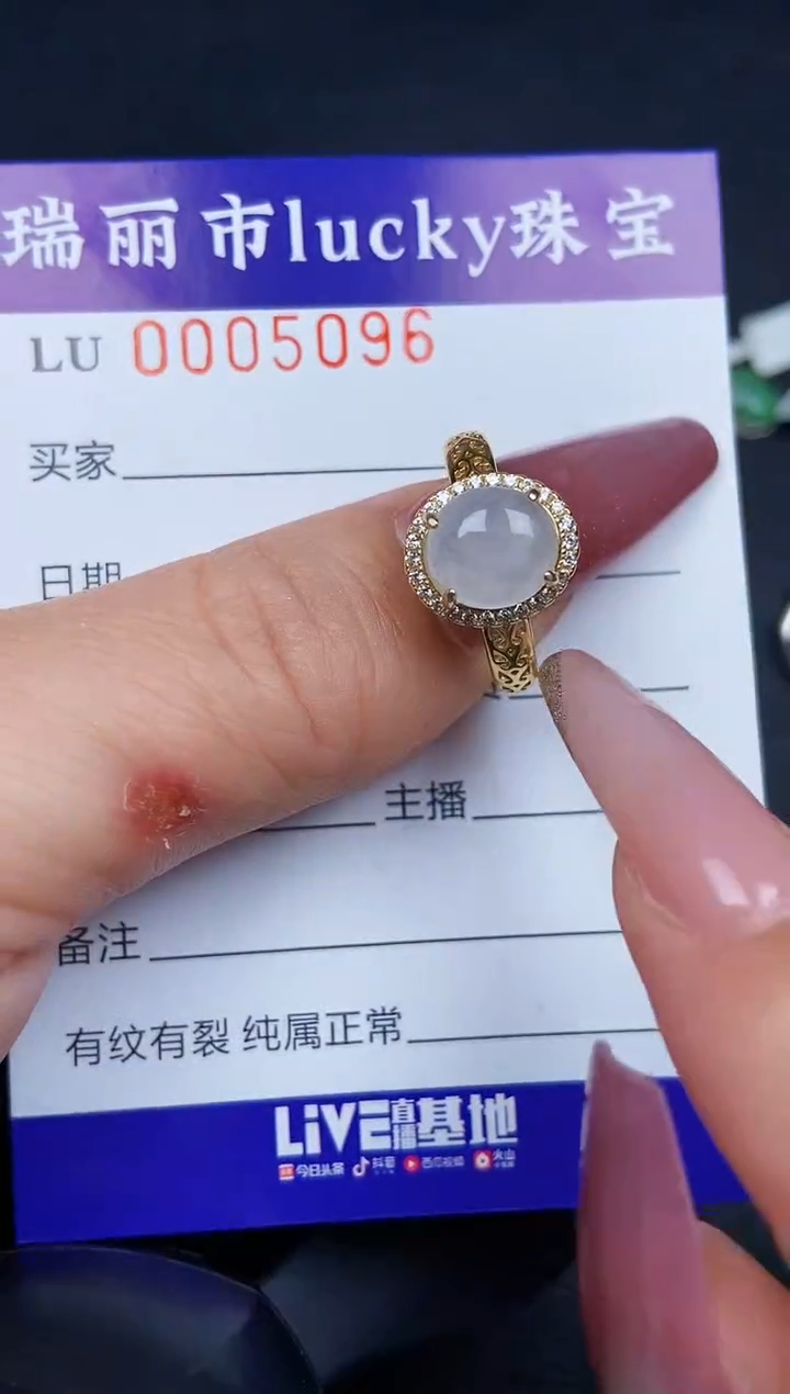 翡翠银S925镶嵌颈饰5096