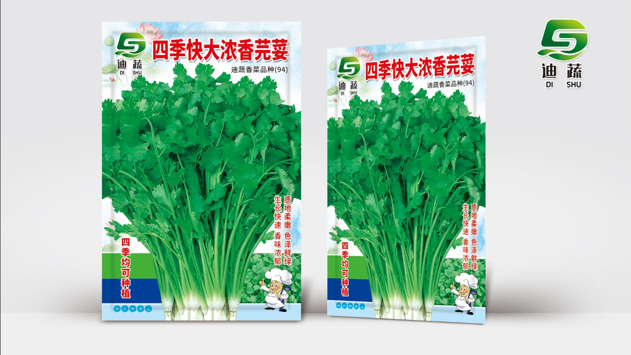 四季快大浓香莞荽优质香菜种子大叶耐热耐抽薹香菜种子大面积种植