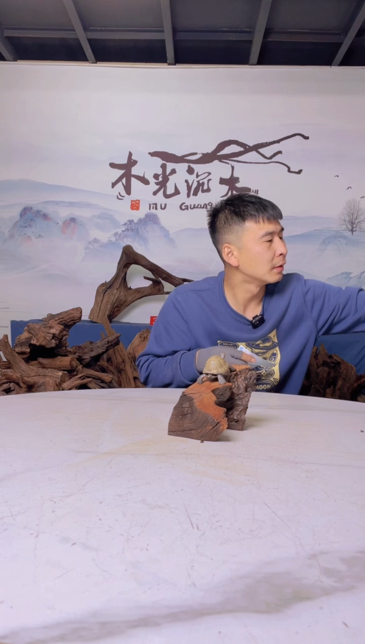 【闪购商品】a464木光沉木木光沉木