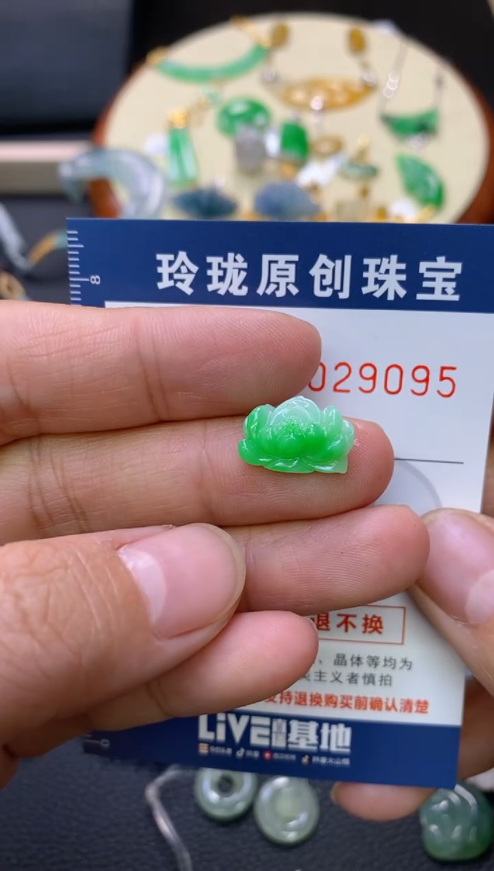 【闪购商品】翡翠颈饰未镶嵌翡翠净货29095