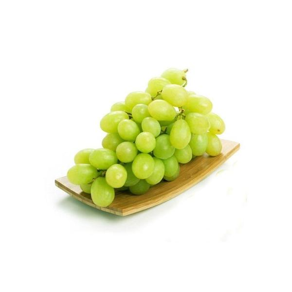 澳洲青提子500g广东省