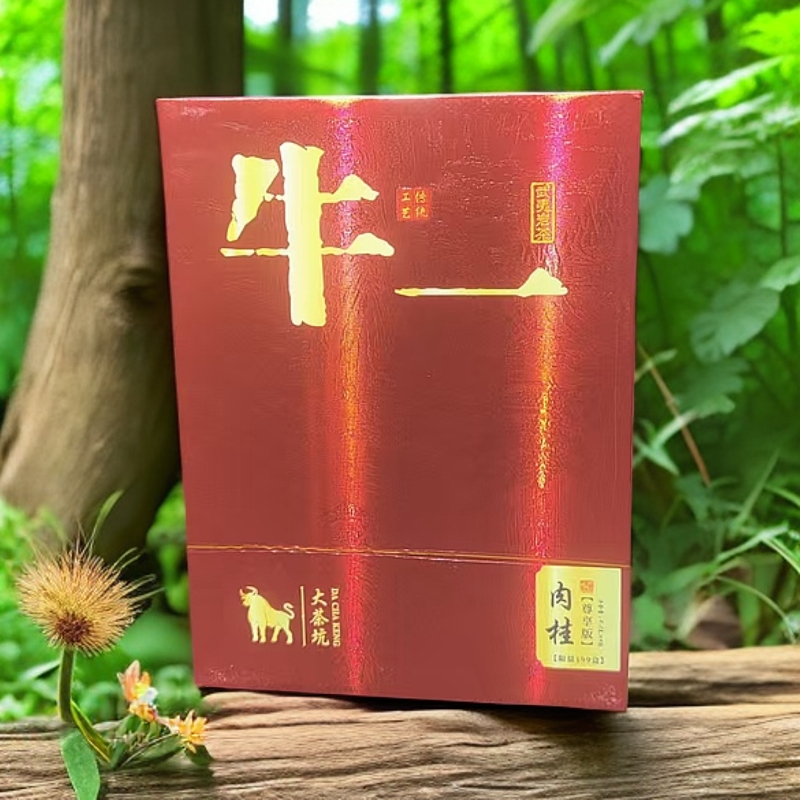 交个朋友丨牛一肉桂茶