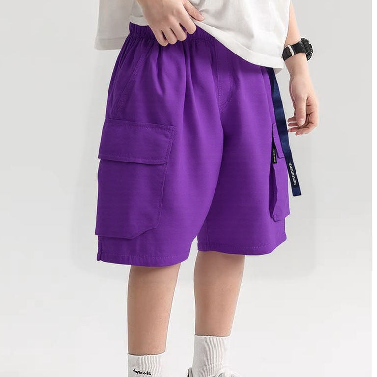 12180高端专享夏款短裤紫色（斯)