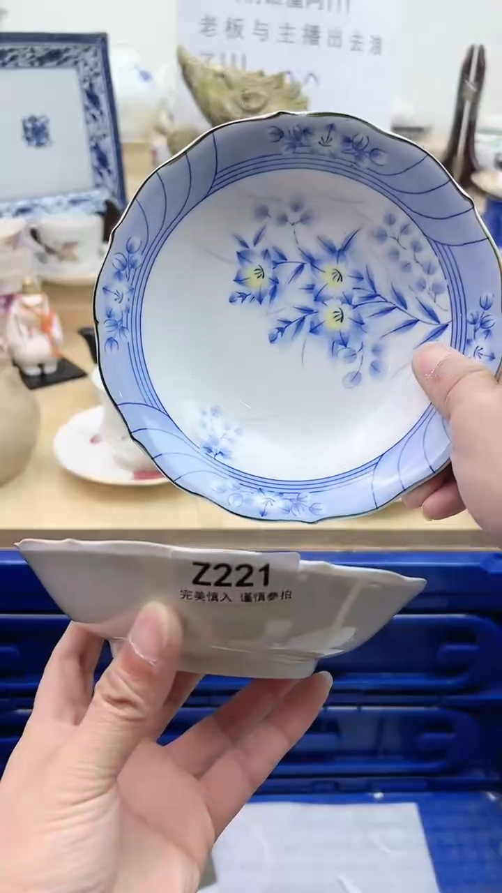 【闪购商品】瓷片221