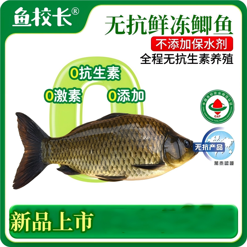 无抗黄金鲫鱼鲜活宰杀冷冻开背面处理营养美味