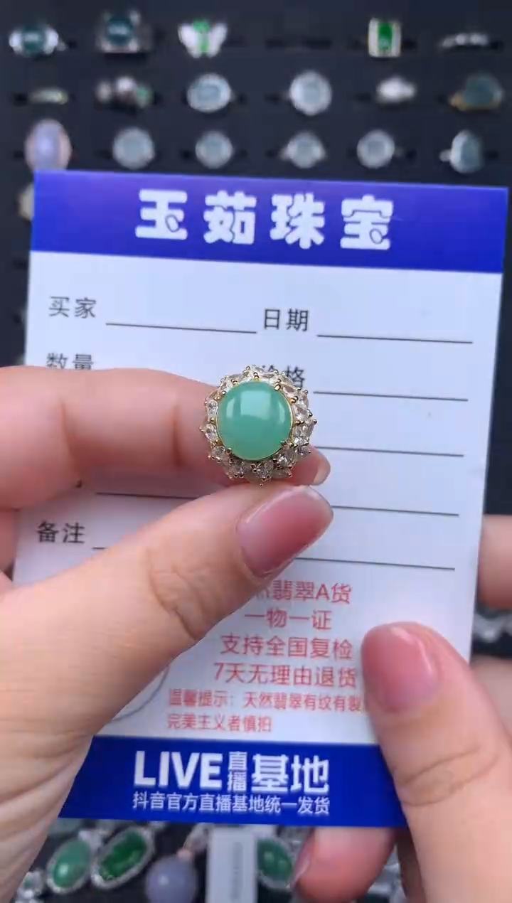 【闪购商品】翡翠颈饰银S925镶嵌234234