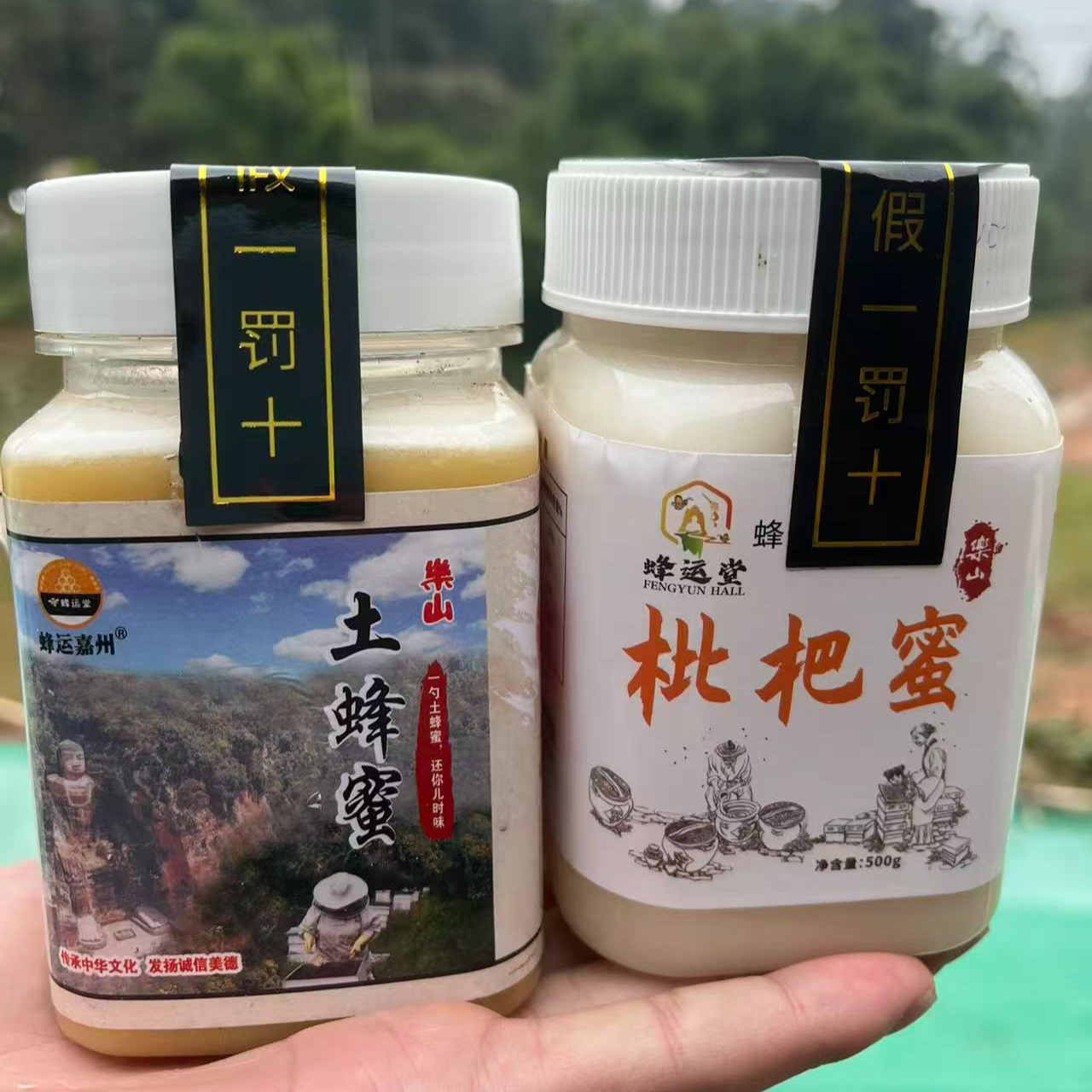 【假一罚十】四川乐山土蜂蜜1斤 +枇杷蜜一斤共两斤 