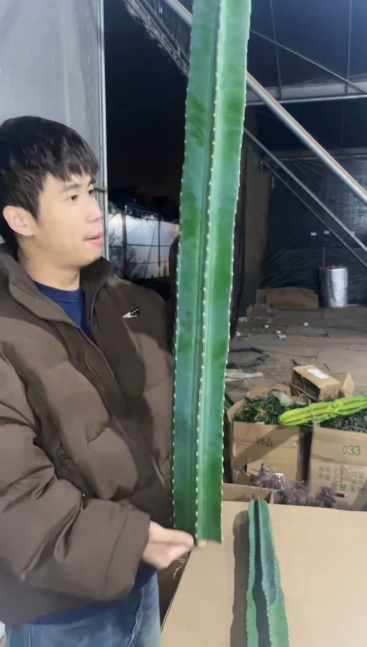 【闪购商品】100cm 量天尺【无根】