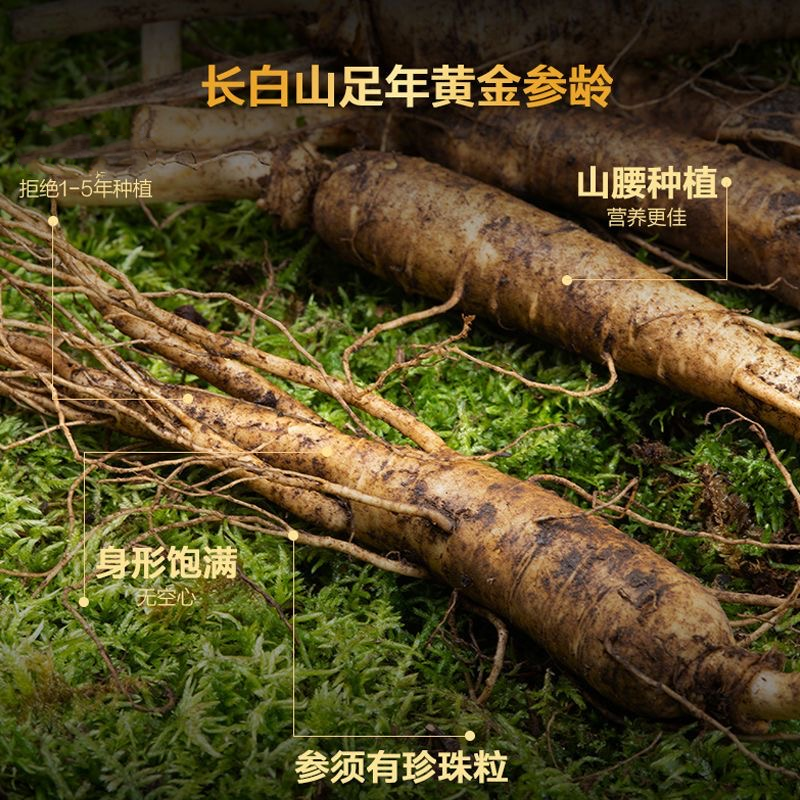 长白山鲜人参煲汤泡水泡酒