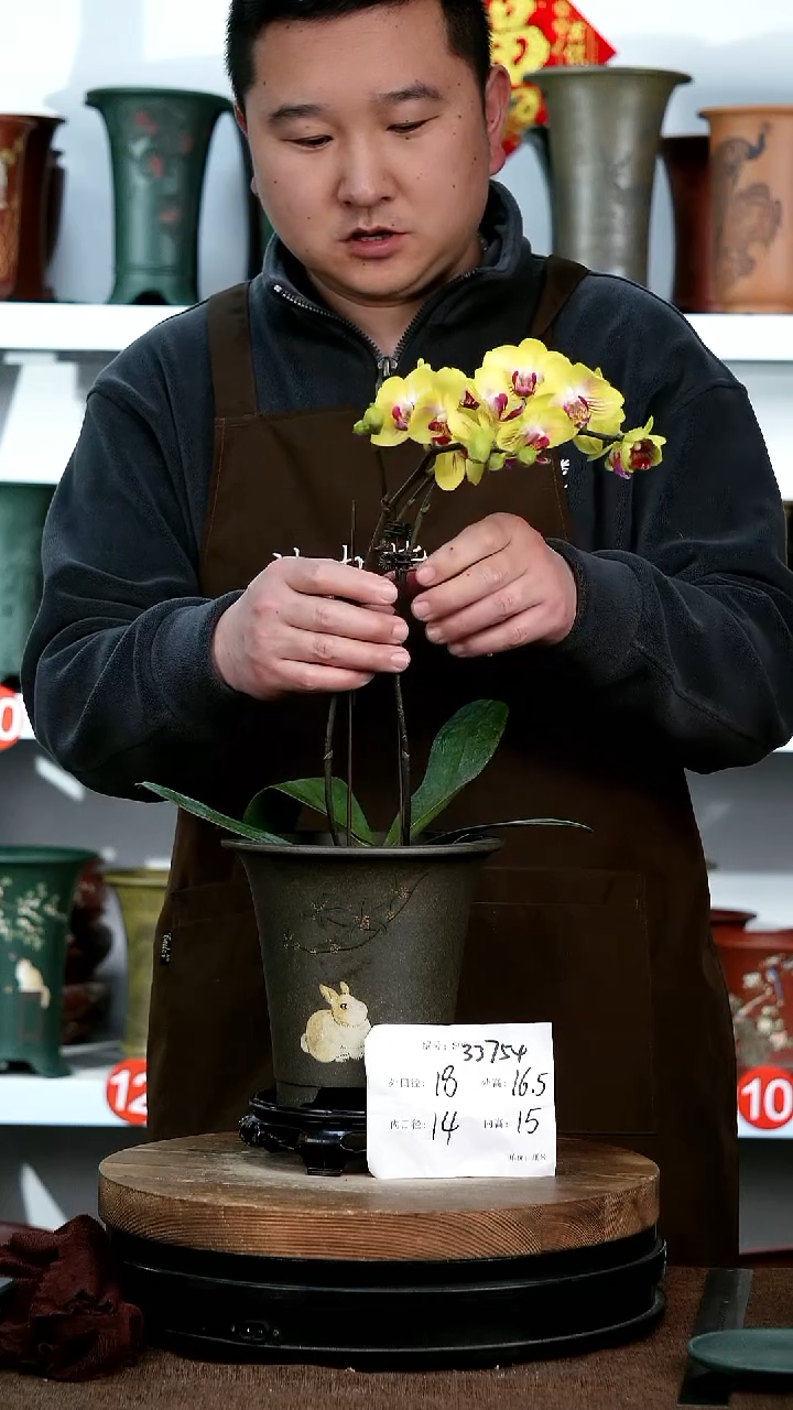 【闪购商品】紫砂花盆紫砂花盆33754+S