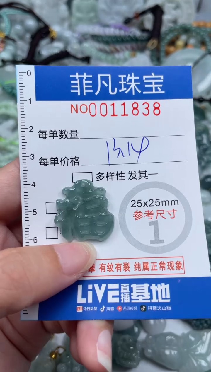 颈饰未镶嵌翡翠11838