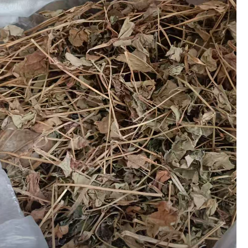 （春夏秋冬）鱼腥草 板蓝根 柴胡 连翘 甘草 地丁