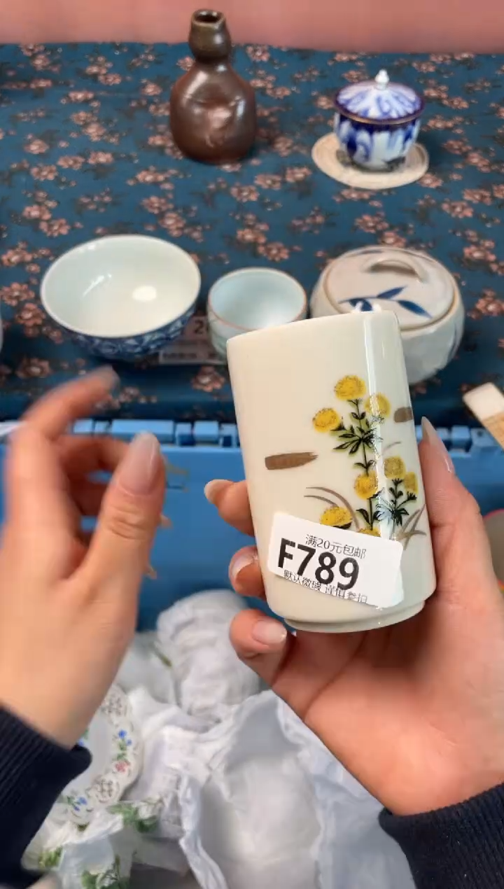 瓷片浅*色瓷器瓷器F789