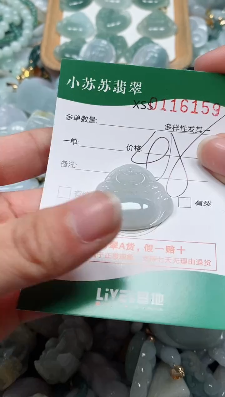 【闪购商品】翡翠颈饰未镶嵌闪购商品0116159