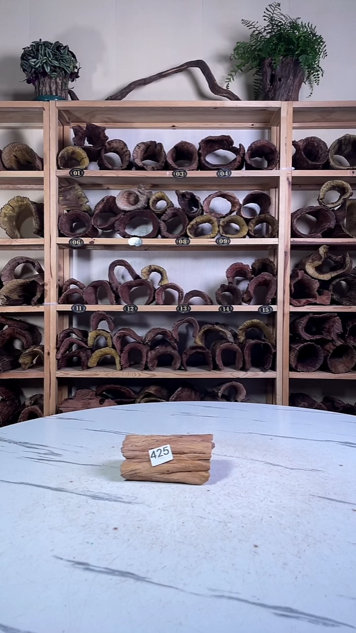 兴*云南紫柚木造景沉木425