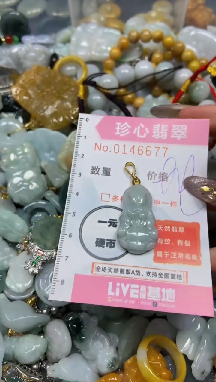 【闪购商品】翡翠颈饰未镶嵌闪购0146677