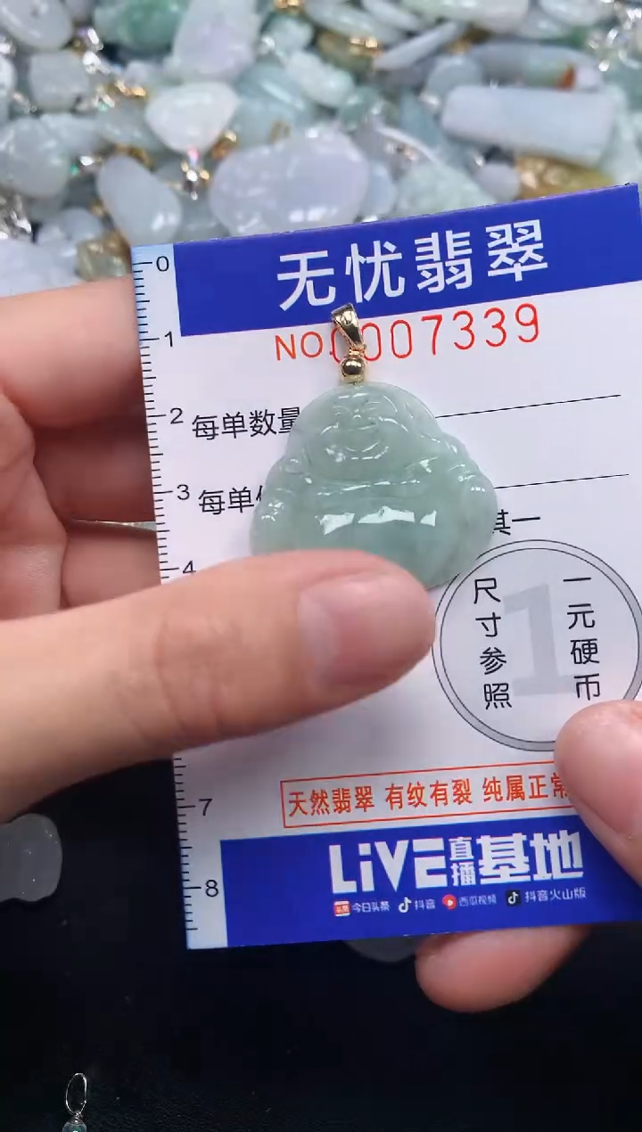 颈饰未镶嵌翡翠7339