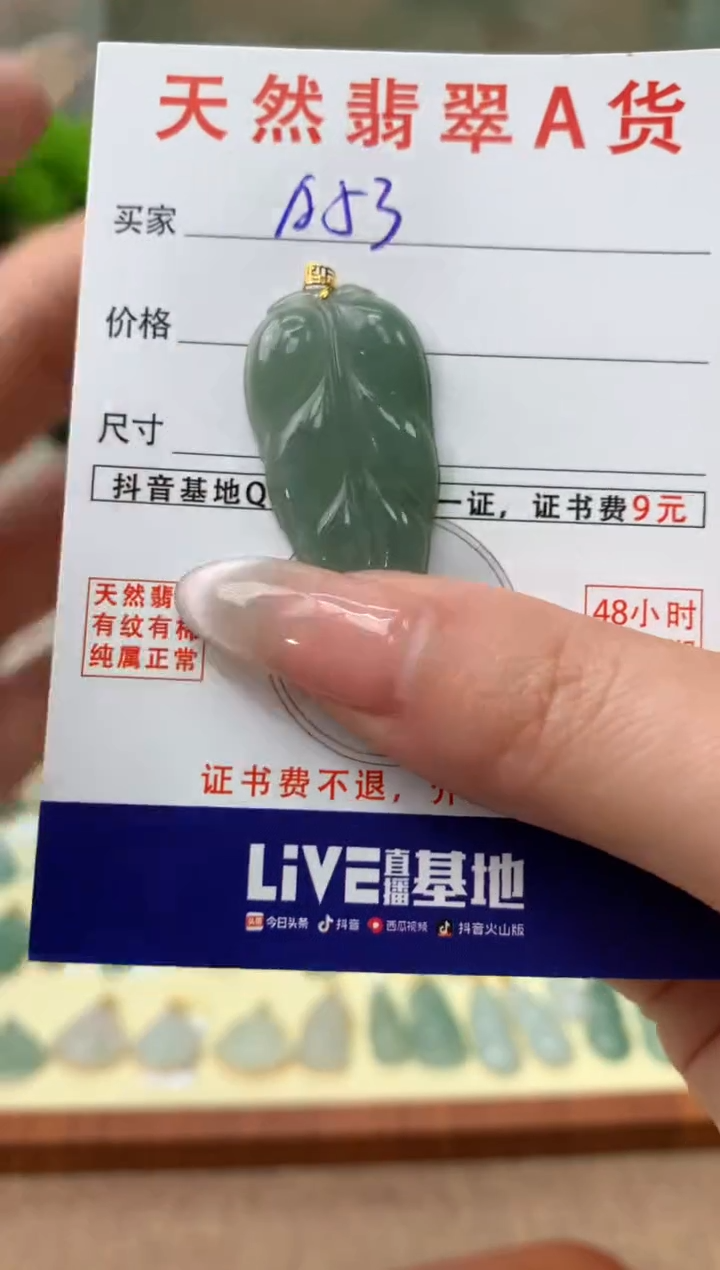 【闪购商品】翡翠颈饰18K金镶嵌多样性发其一
