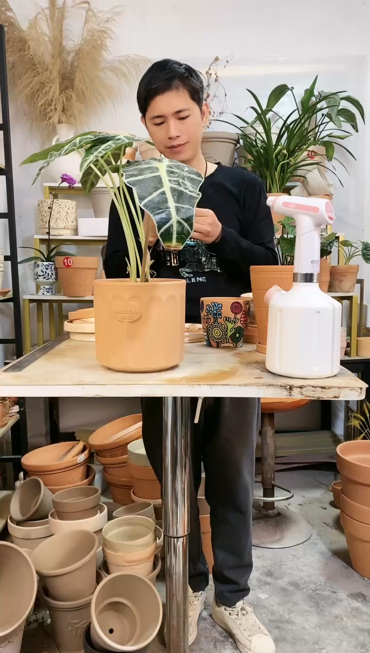 【闪购商品】红陶16*16红陶直筒罗马柱 1盆无托