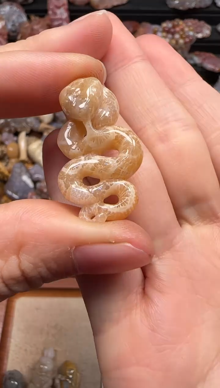 【闪购商品】硅化珊瑚（珊瑚玉）颈饰未镶嵌239