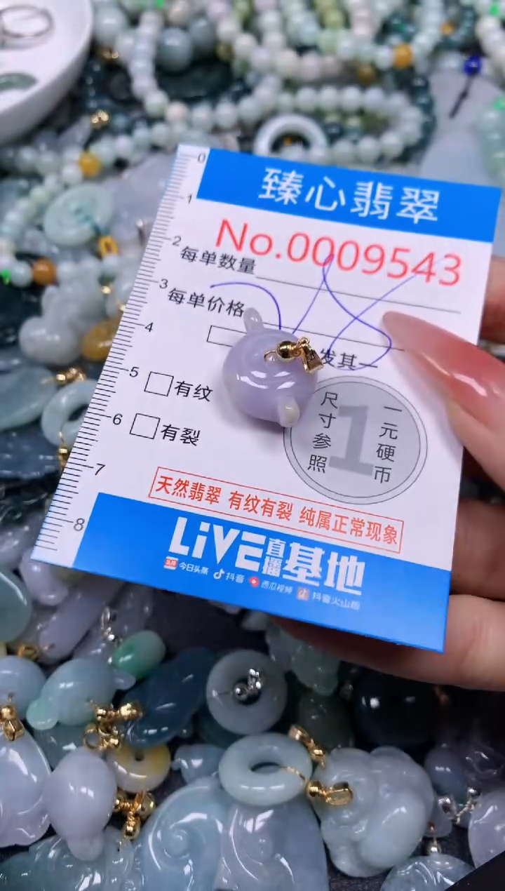 【闪购商品】翡翠颈饰未镶嵌含绳0009543