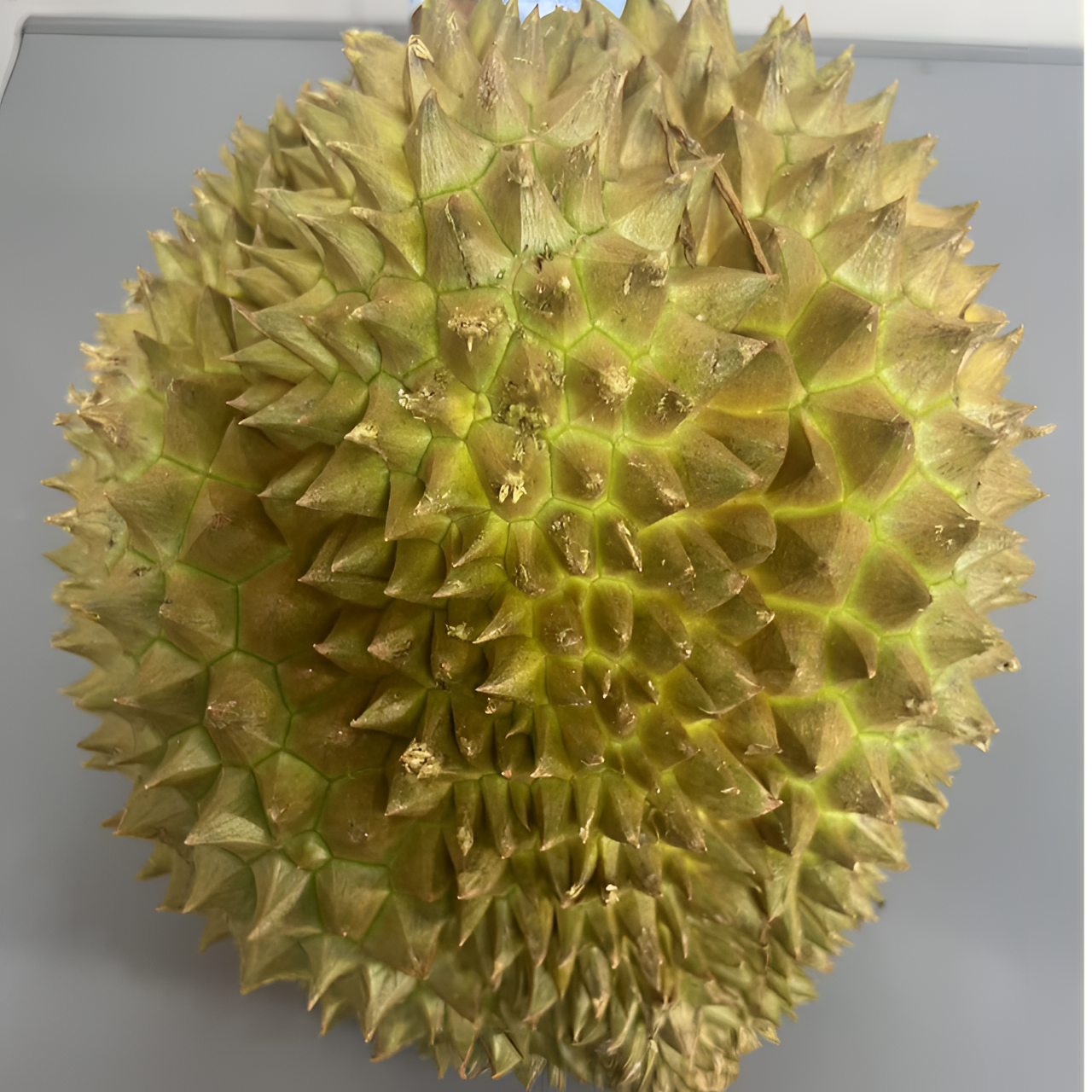 快递果 浩仔济南鲜榴莲泰国金枕核小（斤）金枕泰国