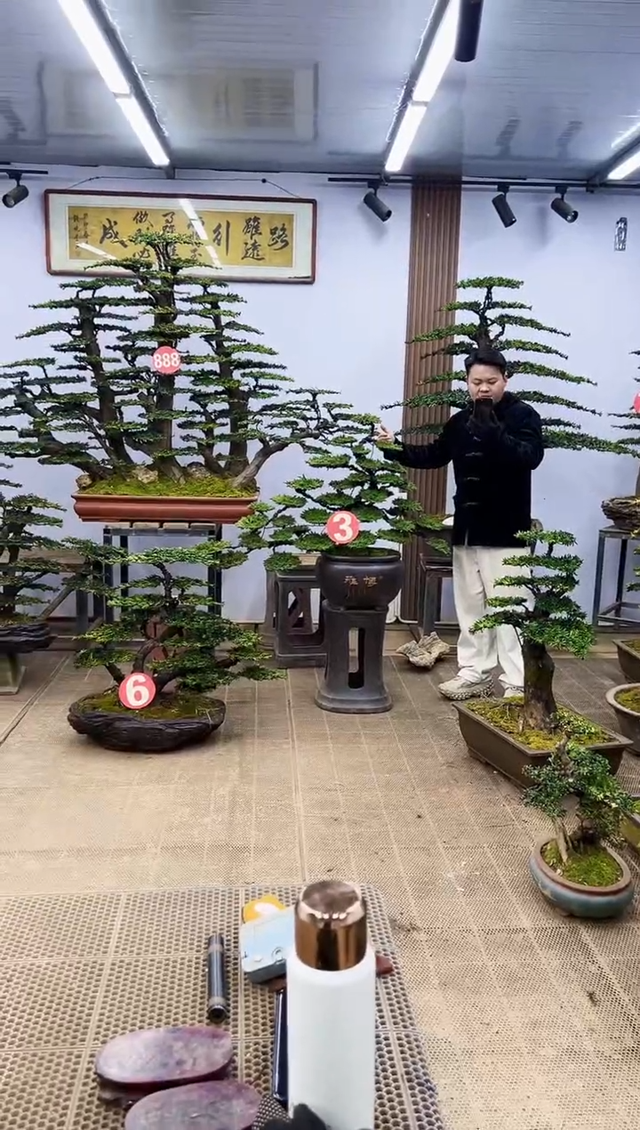 【闪购商品】003号000000