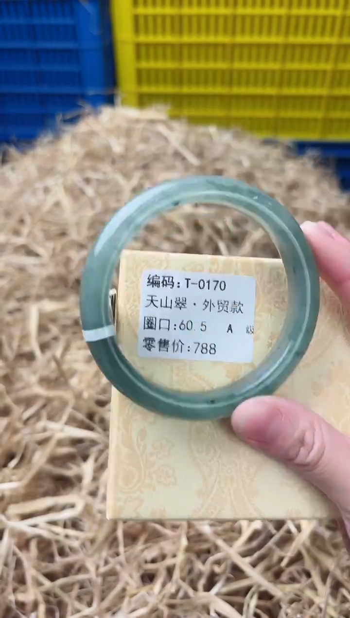 未镶嵌手镯石英质玉T-0170